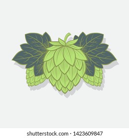 Green Hop Cones. Hop cone logo. Beer Cones Illustration. Three Hops and Leaves. Engraving Style.