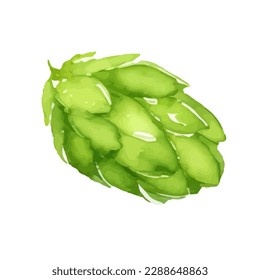 green hop with style hand drawn digital painting illustration