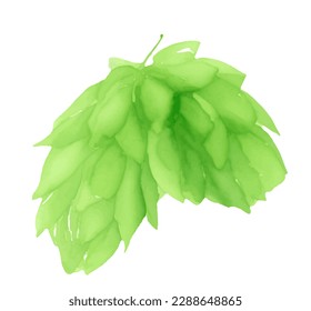 green hop with style hand drawn digital painting illustration