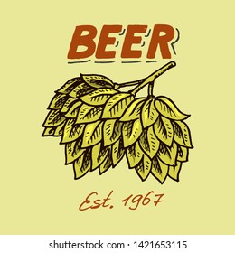 Green Hops for brewing beer. Template emblem or logo for signboard. Poster for web site or book. Engraved hand drawn sketch on a colored background. Vintage Banner with a plant.