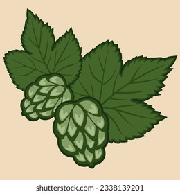 green hops for brewing vector illustration