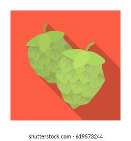 Green hops. Plant for brewing beer. The main component of beer. Pub single icon in flat style vector symbol stock illustration.