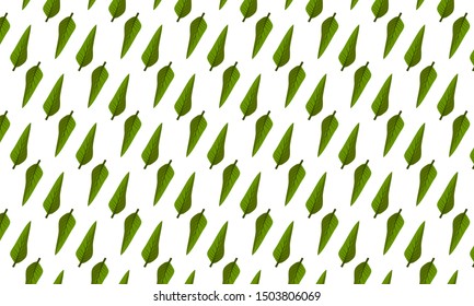 Green Hosta Leaves Pattern Background