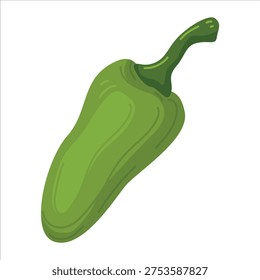 Green jalapeño hot pepper cartoon vector illustration spicy sweet bell capsicum vegetable whole ingredient isolated