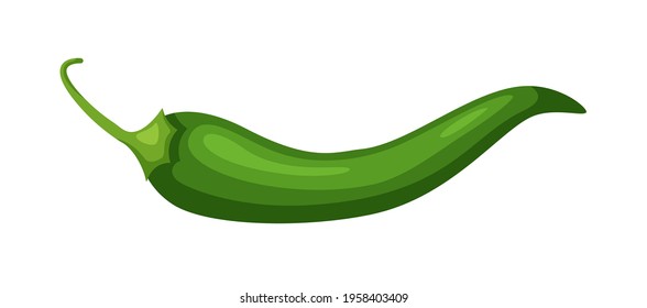 Green hot pepper Jalapeno isolated on white background