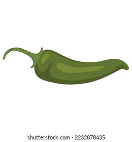 Grüner heißer Pfeffer. Vektorgrafik von grünem Pfeffer. Einzelbild von Pfeffer.