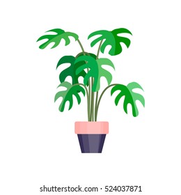 Green house palm plant in pot. Leaf flower flat. Vector