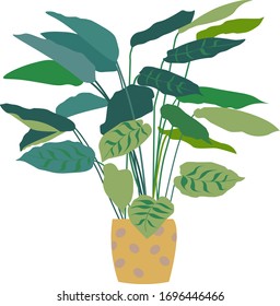 green house plant for cozy home. abstract style