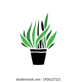 Green house plant in floral pot. Vector illustration