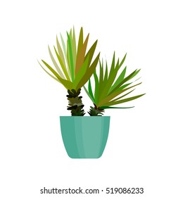 Green house plant in pot. Leaf tropical flat icon. Vector app, UI game element