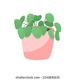 Green house plant in a pot. Pink color pot with plant. Colorful vector illustration for design. Isolated vector illustration on white background.