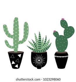 Green House Plants In The Black Pots Haworthia And Cactus Scandinavian Style Boho Seamless Pattern Vector