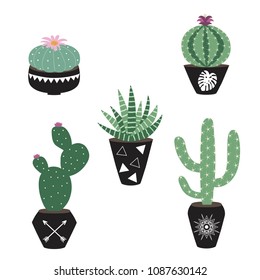 green house plants in the black pots haworthia cactus peyote aloe sansevieria scandinavian style boho illustration icon set vector.