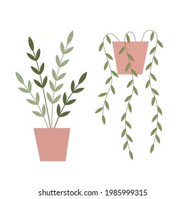 Vector de plantas de la casa verde Ilustración. Colecciones de vectores, flores en ollas. 