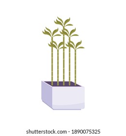 Green house plants in white pot flat vector illustration
