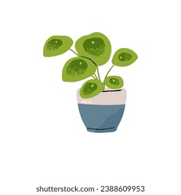 Green houseplant, home potted flower with round leaves. Pilea peperomioides in pot. Chinese money plant growing in frowerpot. Floral interior decoration. Flat isolated vector illustration on white