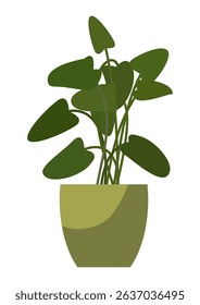 Green houseplant with large leaves in a light green pot. Isolated indoor plant element for home décor. Flat design for interior.