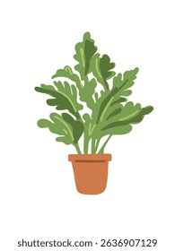 green houseplant on white background