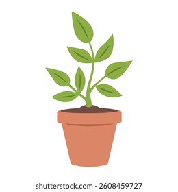 Green houseplant in a pot. Home garden, nature or planting theme. Vector illustration isolated on white background.