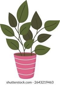 Green houseplant in pot isolated on white background. Illustration of home decor