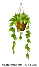 Green houseplant in a pot. Vector illustration.