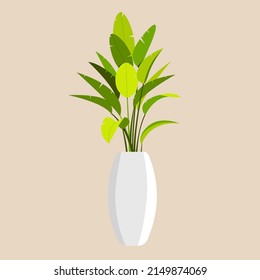Green houseplant in a vase, home interior decoration in minimal scandinavian style. Vector illustration in flat style