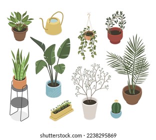 Green houseplants - modern vector isometric colorful elements isolated on white background. A set of different floor and hanging flowers in pots. Flora to decorate your home. Design and coziness idea