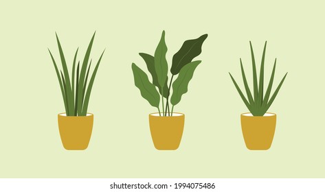 Hogares verdes en plantas ilustrativas vectoriales. decoración de la casa y plantas interiores. Ilustración vectorial plana.