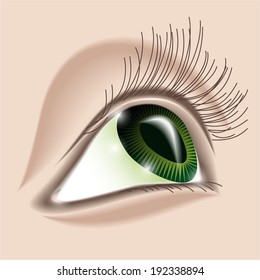 Green human eye close-up