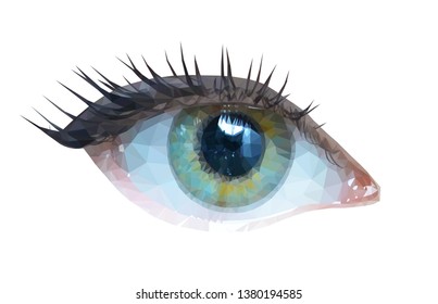 Green human eye in low poly style, photorealistic vector illustration eps 10 isolated on white