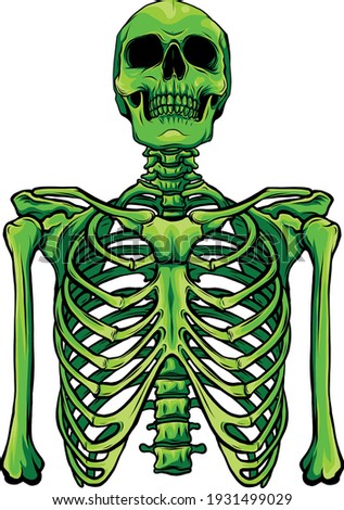 green Human skeleton on white background vector illustration