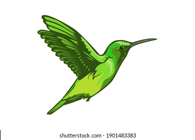 GREEN HUMMING BIRD VECTOR LOGO