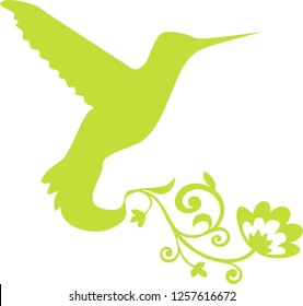 Green hummingbird logo