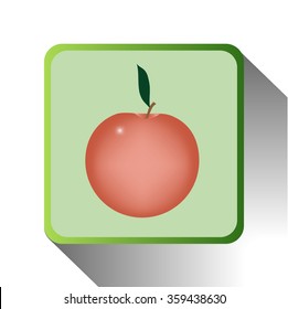 green icon of apple on white background