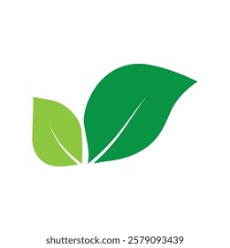 Green icon logo illustration flat