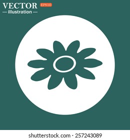 The green icon on a white circle on a green background. daisy,vector illustration, EPS 10