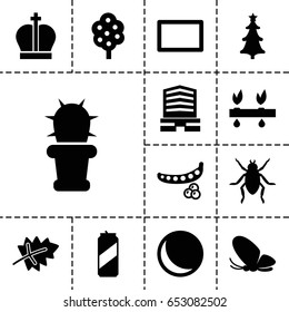 Green icon. set of 13 filled green icons such as leaf, peas, tree, beetle, butterfly, business center, cactus, Christmas tree, burst, beer can, crown, plant