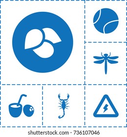 Green icon. set of 6 green filled icons such as leaf, dragonfly, scorpion, voltage warning, tennis ball