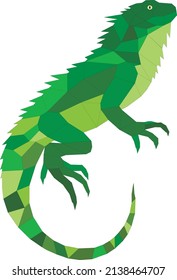 Green Iguana Creative Vector Geometry Ilustration