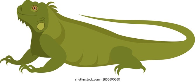 Green iguana, illustration, vector on white background