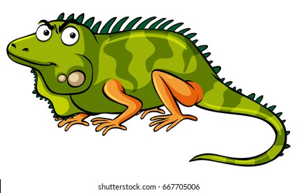Green iguana on white background illustration