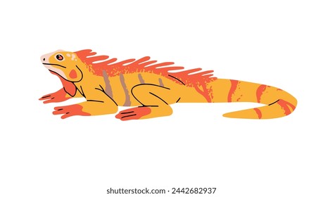 Iguana verde con piel estampada de naranja. Guana, lagarto con colorida cola a rayas. Reptil exótico, reptil tropical. Fauna de la selva, animal de la selva. Ilustración vectorial aislada plana en blanco