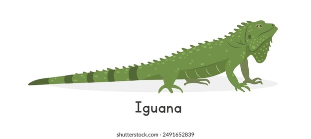 Green iguana vector illustration, cartoon clipart character, animal in flat style. Wild animals, wild creatures, wildlife concept. Iguana vector design isolated on white background