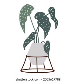 Green indoor begonia flower in a flowerpot on a backdrop.Flat vector graphics.