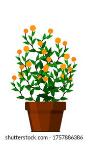 Green indoor flat style house plant in pot vector icon.