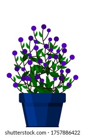 Green indoor flat style house plant in pot vector icon.