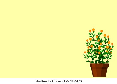 Green indoor flat style house plant in pot vector icon.