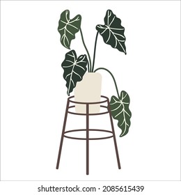 Green indoor flower of alocasia in a flowerpot on a backdrop.Flat vector graphics.