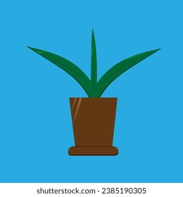 green indoor flower in a brown pot on a blue background