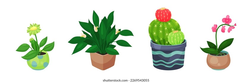 Green Indoor Garden Plants Growing Ceramic Pots Vector Set